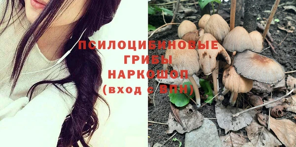 индика Абдулино