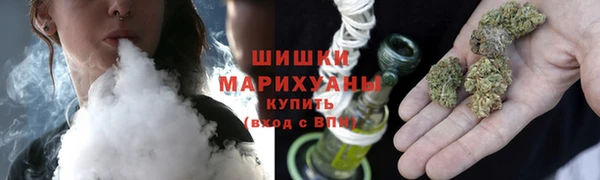 индика Абдулино