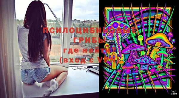 индика Абдулино