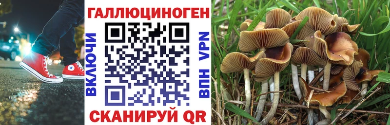 Галлюциногенные грибы прущие грибы  Александровск-Сахалинский 